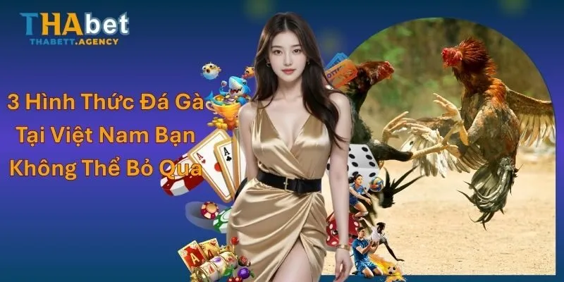 3 Hình Thức Đá Gà Tại Việt Nam Bạn Không Thể Bỏ Qua